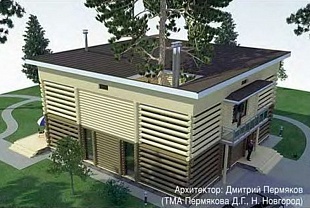 Проект коттеджа (дачного дома) № Проект загородного дома № 100/146 «Гнездо»